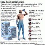 L’importance  de l’eau  pour L’organisme  humain Par Dr.  TAHA  RHOUNIM  ELIDRISSI